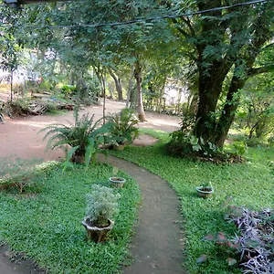https://sigiri-neo-homestay.kandyhotelsnow.com